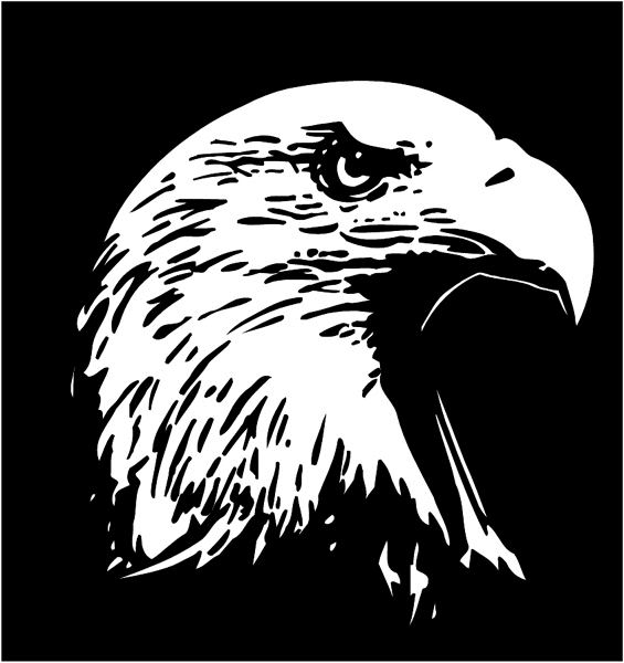 Eagle's head profile vinyl sticker. Customize on line.       Animals Insects Fish 004-0968  